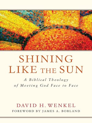 cover image of Shining Like the Sun